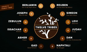 12 Tribes New